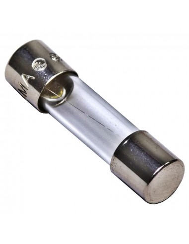 Mgl B170 Fusible De Vidrio 21mm  1.0 A